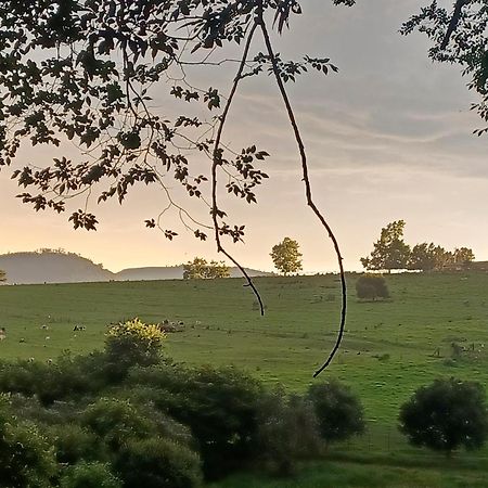 Little Fields Country House And Cottages Howick Exteriör bild
