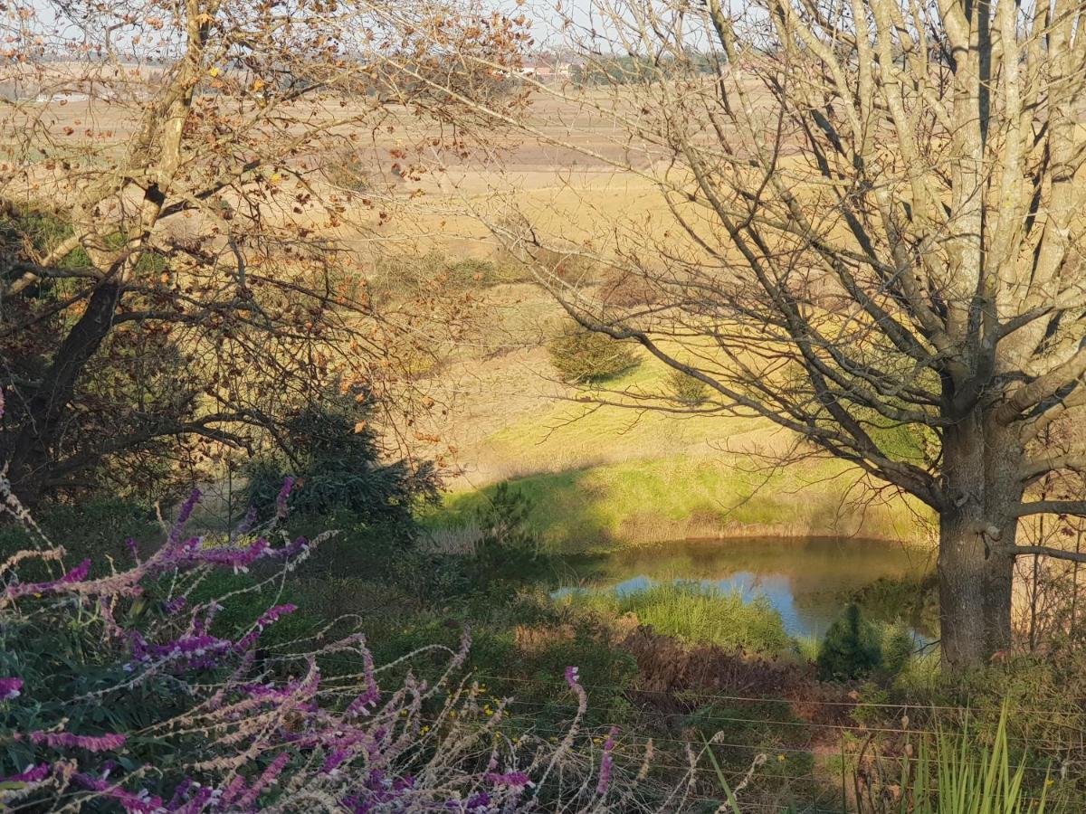 Little Fields Country House And Cottages Howick Exteriör bild