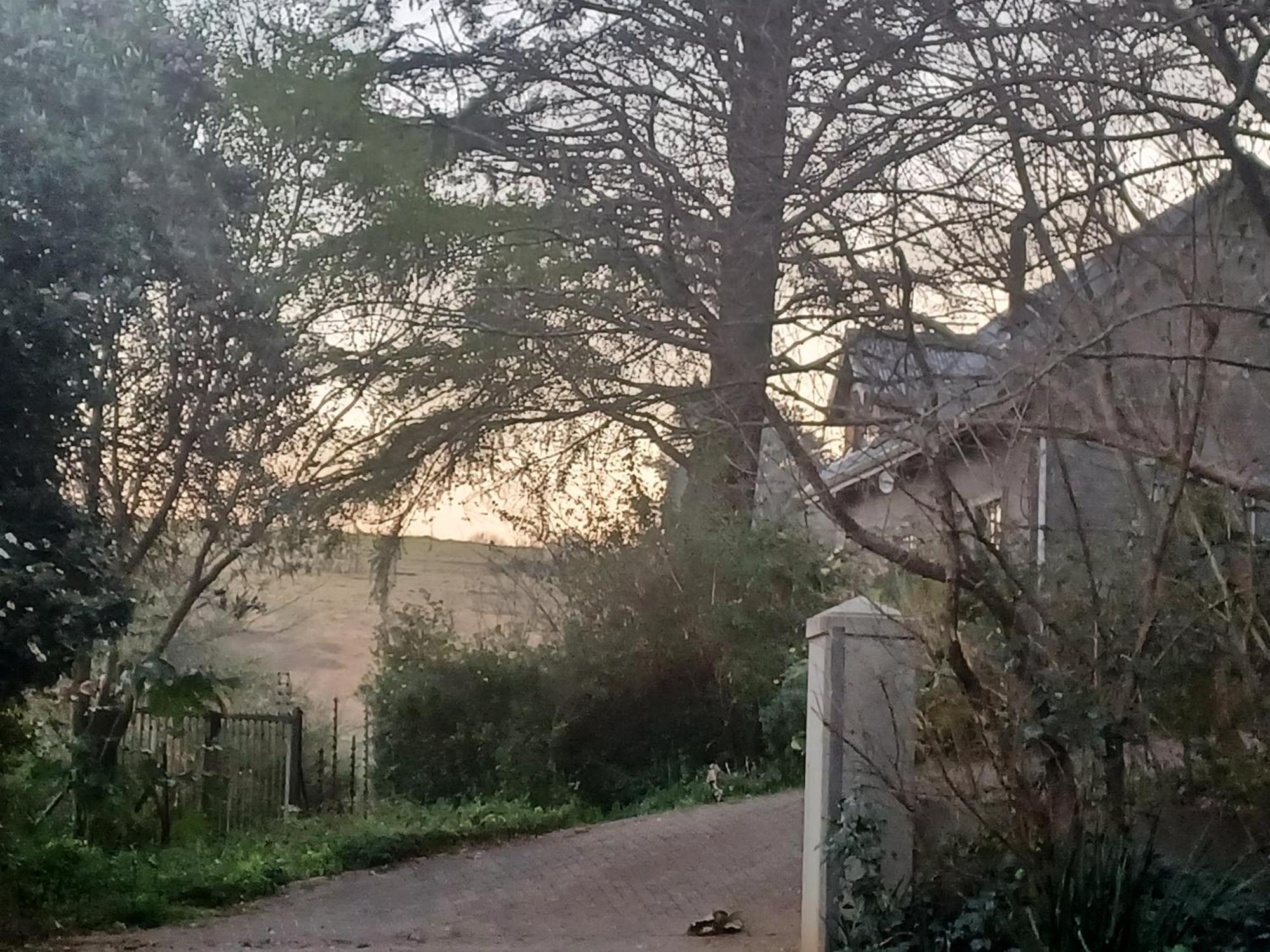 Little Fields Country House And Cottages Howick Exteriör bild