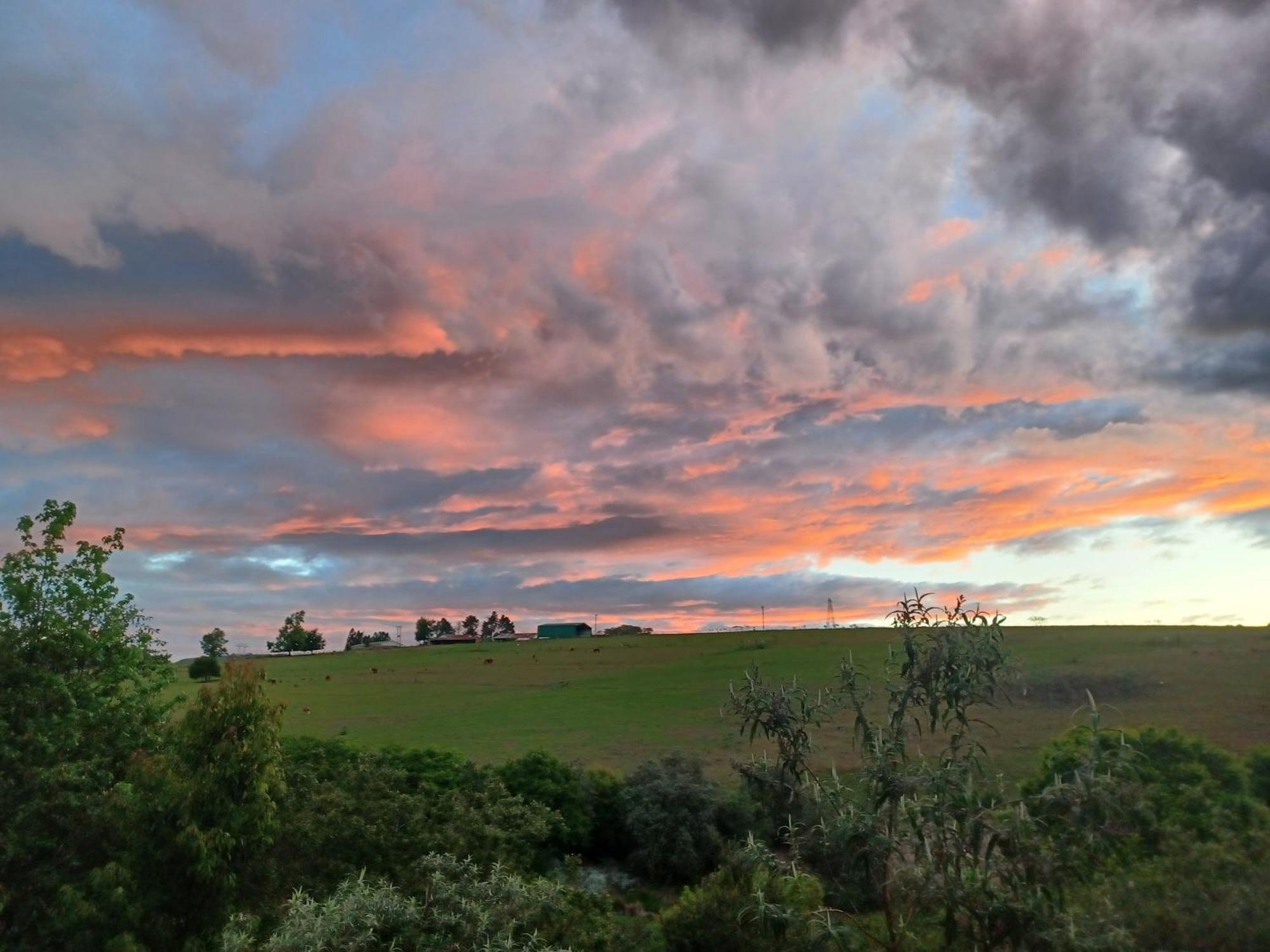 Little Fields Country House And Cottages Howick Exteriör bild