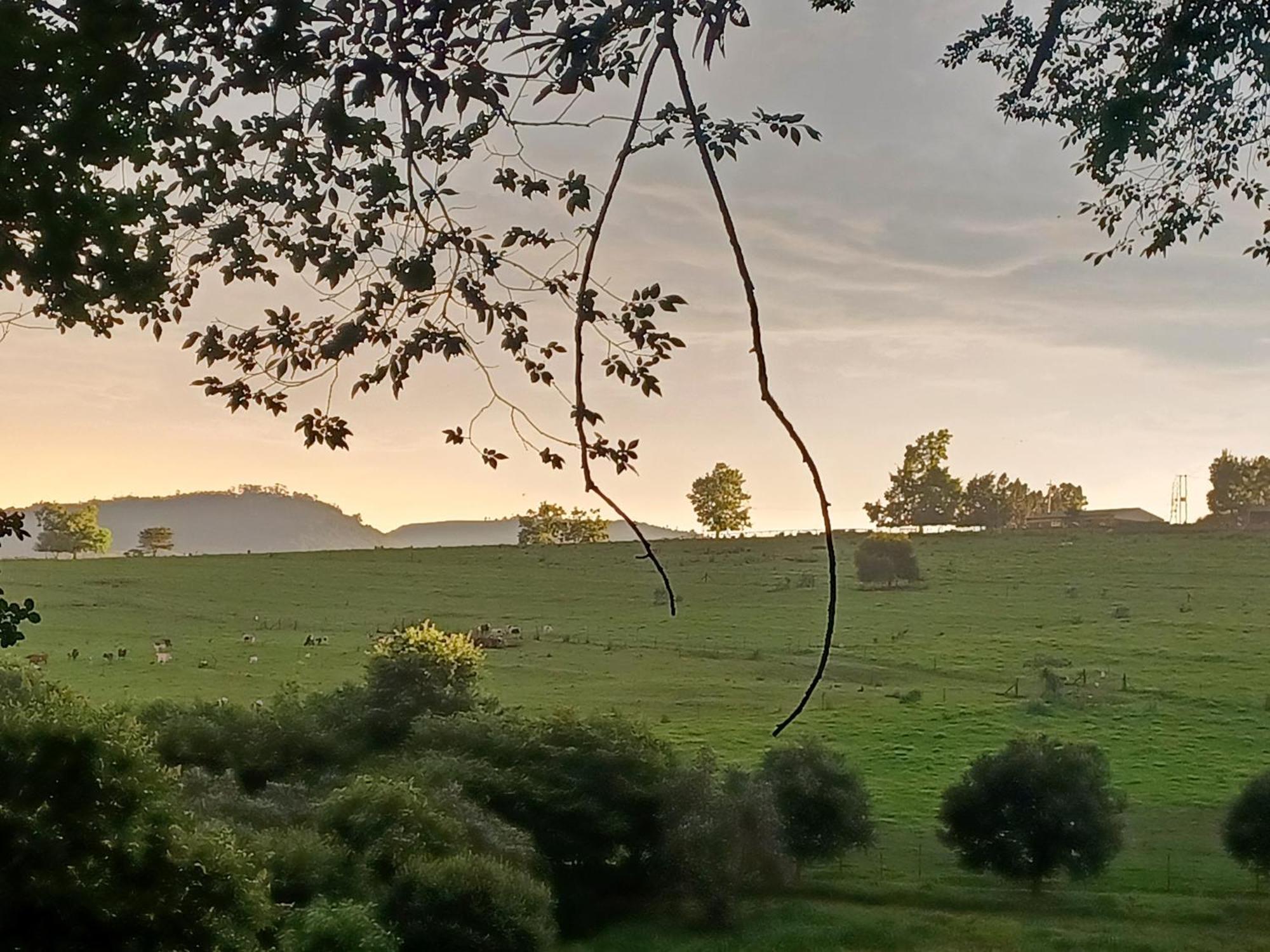 Little Fields Country House And Cottages Howick Exteriör bild